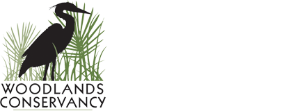 Woodlands Conservancy