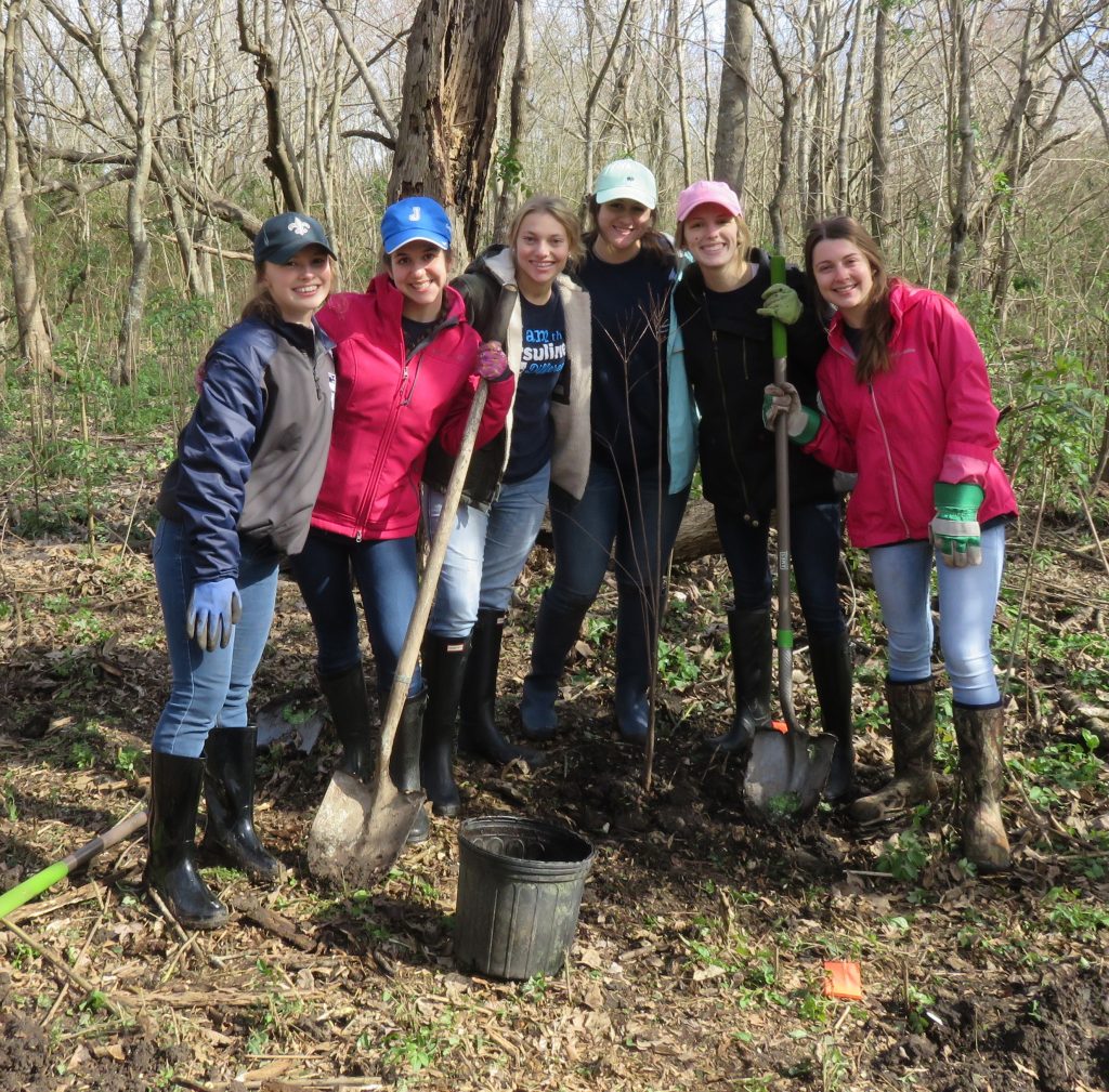 Volunteer Woodlands Conservancy