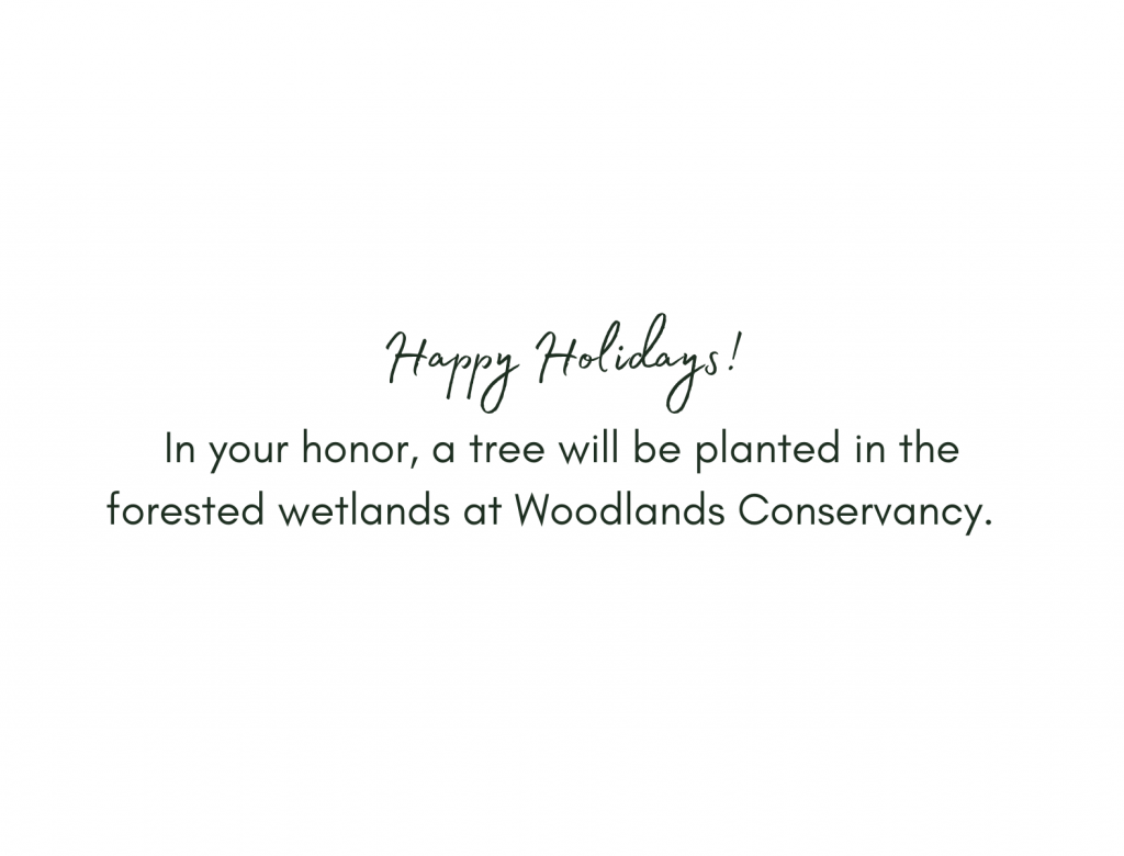 Holiday cards that plant trees Woodlands Conservancy